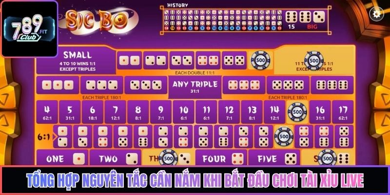 Tổng hợp nguyên tắc cần nắm khi bắt đầu chơi tài xỉu live