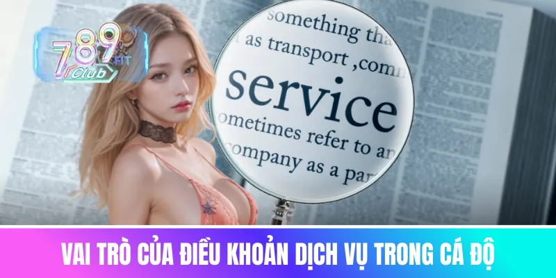 Vai trò của điều khoản dịch vụ trong cá độ